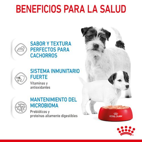 195 g Royal Canin Starter Mommy & Baby mousse latas para perros, , large indicador imagen numero 4